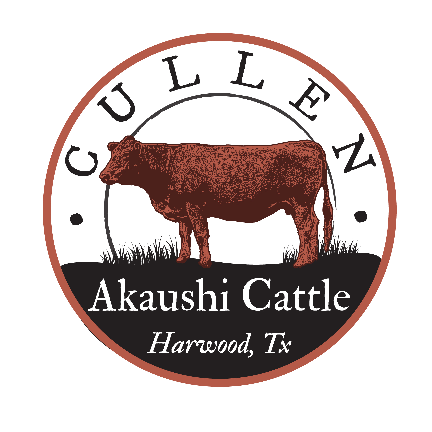 Cullen Akaushi Cattle — Harwood, TX